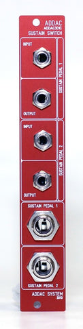 301C Dual Sustain Pedal Sitcher