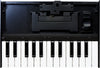 Roland K-25m 25 key Keyboard for Boutique Synths
