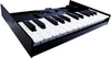 Roland K-25m 25 key Keyboard for Boutique Synths